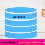 Different types of database and DBMS