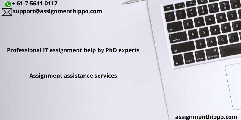 Professional IT assignment help by PhD experts