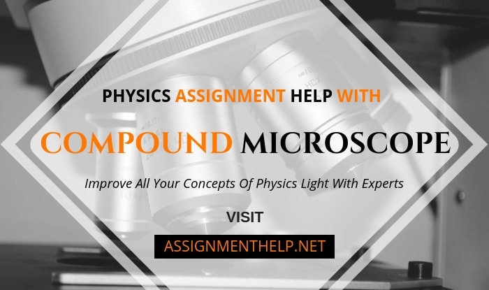 compound microscope assignment