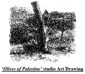 Olives of Palestine studio Art Drawing