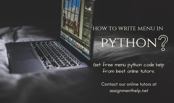 do my python homework