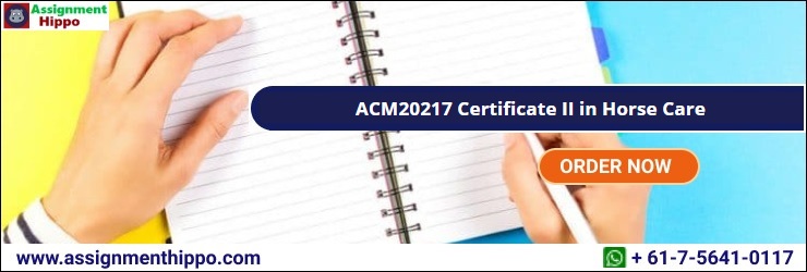 ACM20217 Certificate II in Horse Care
