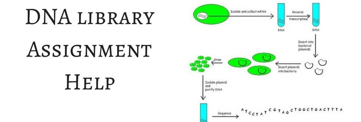 DNA library Assignment Help