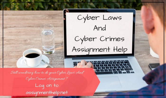 Cyber Laws Assignment Help
